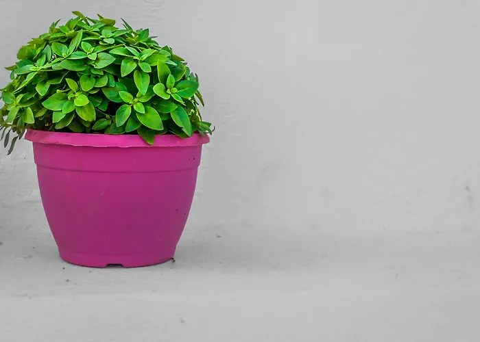 Nearchos House Plaka (Milos)